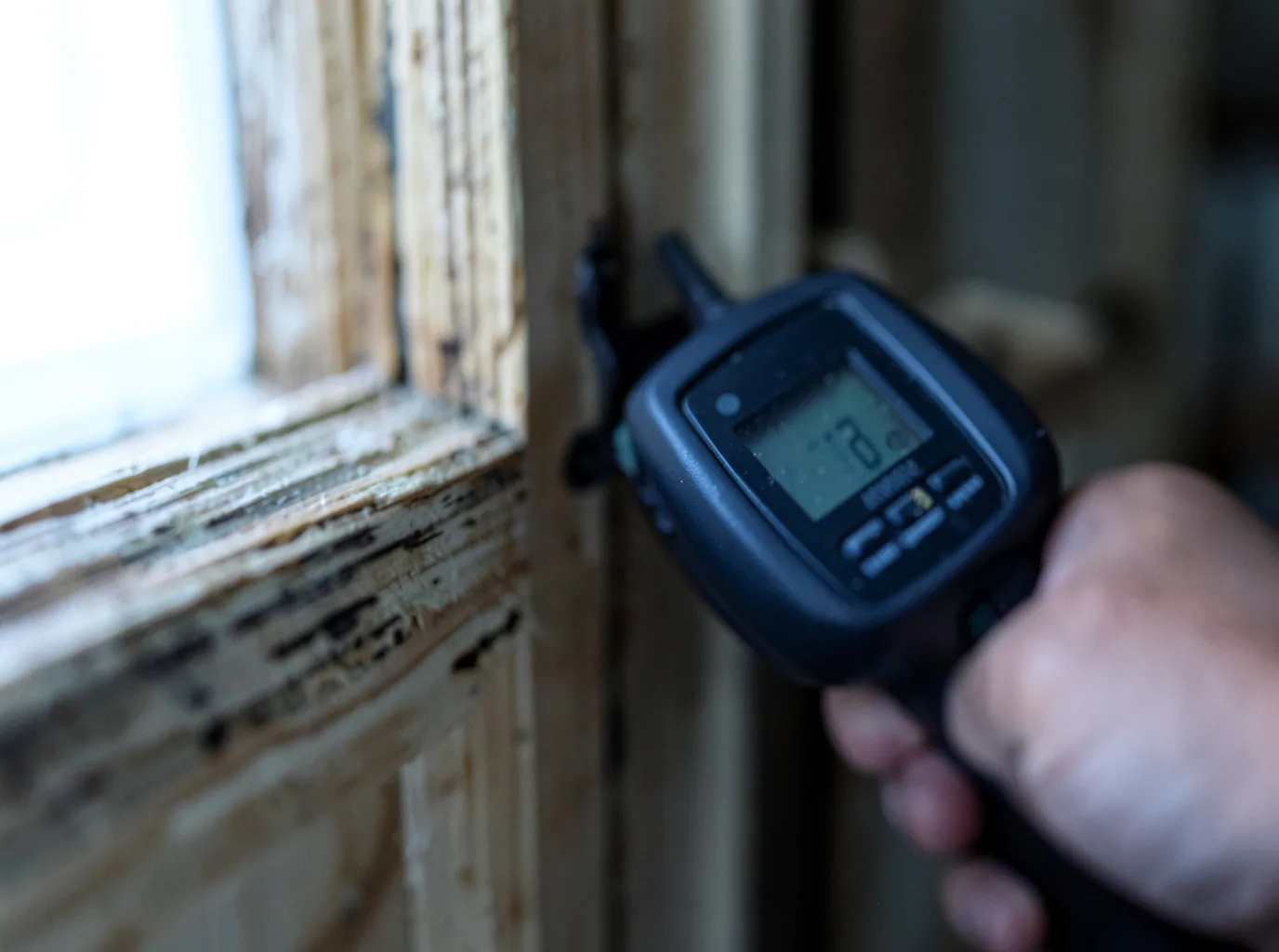 Moisture Inspection And Documentation in Castleton, VA